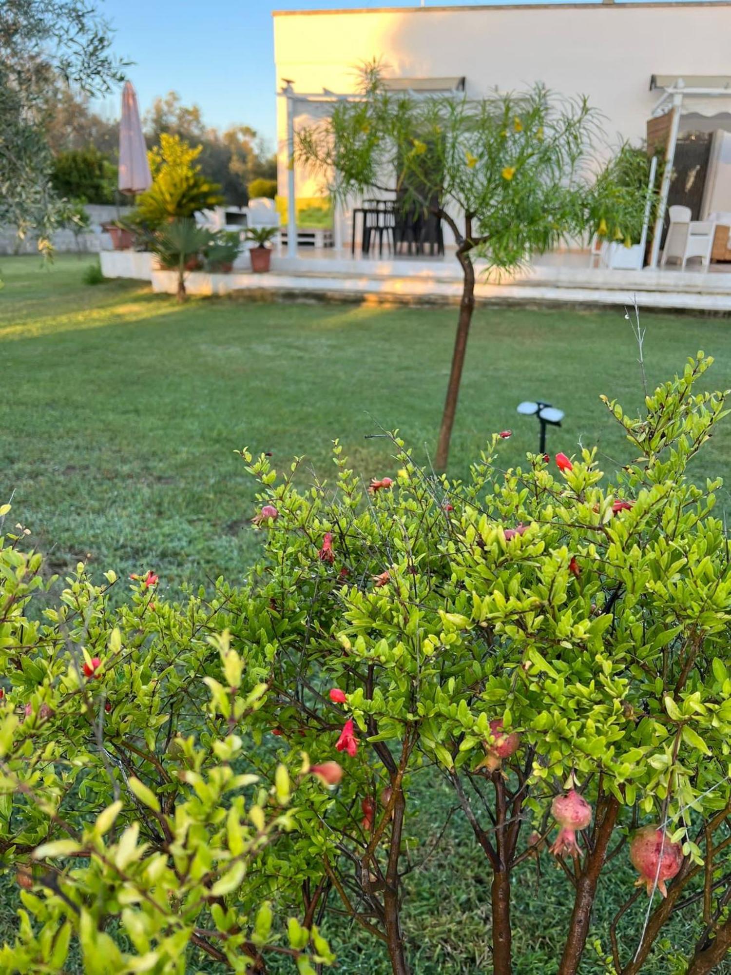 Salento Villa Don Peppino San Foca Kültér fotó